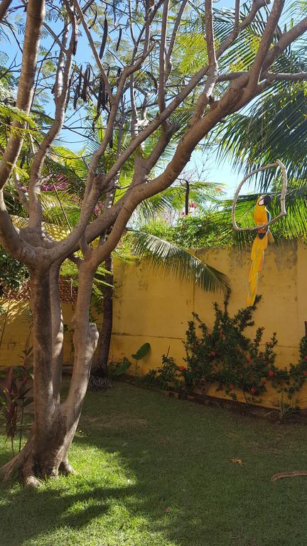 Pousada Agua Marinha Canoa Quebrada Exterior foto