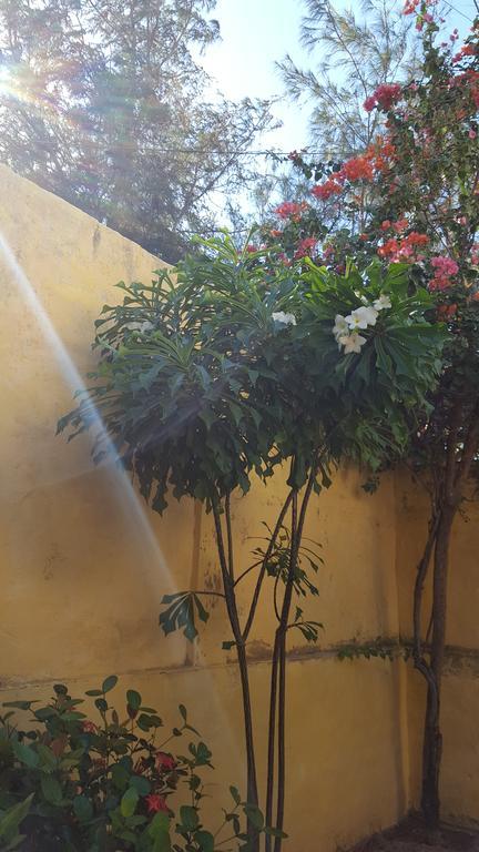 Pousada Agua Marinha Canoa Quebrada Exterior foto